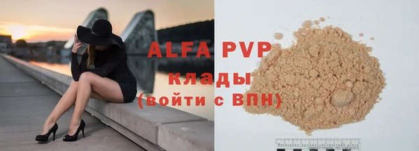 трава Белокуриха