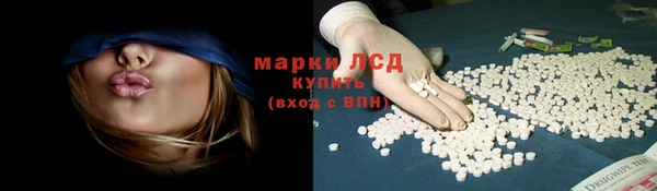 трава Белокуриха