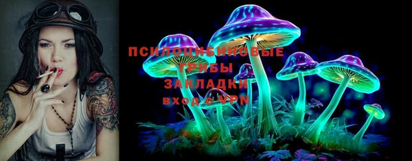 трава Белокуриха