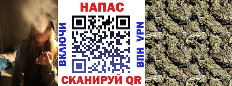 закладка  Верея  Конопля конопля 